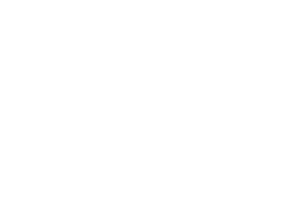 Wavenet White W Logo