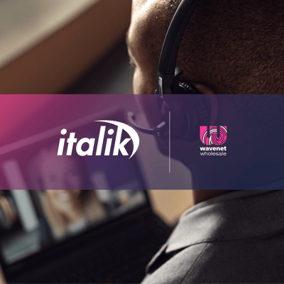 Wholesale Case Studies Image Tiles_Italik