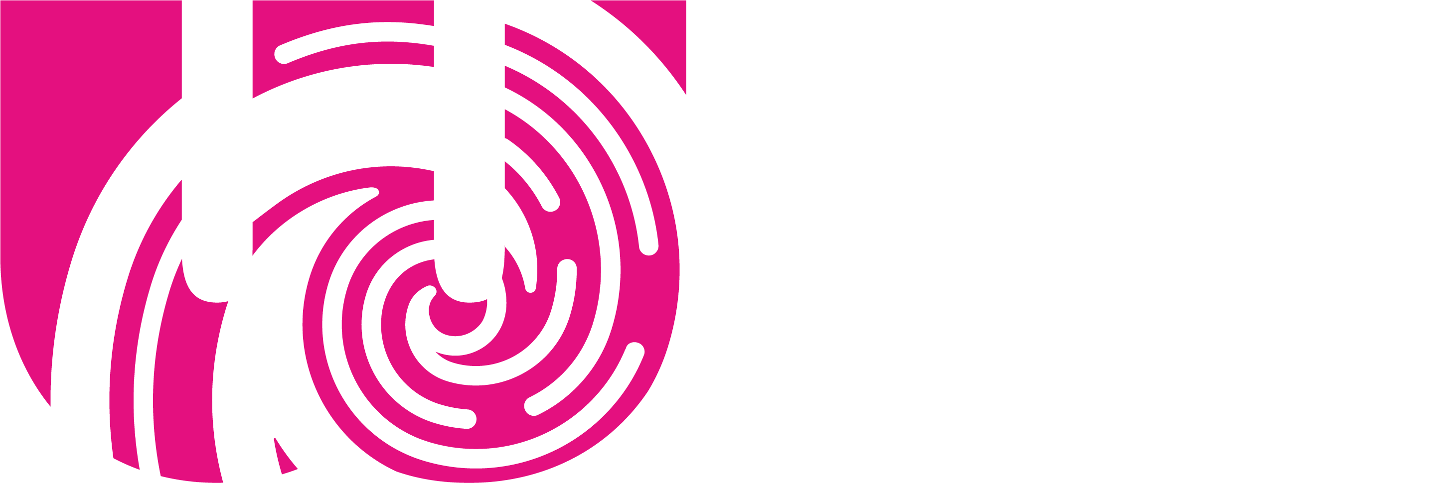 Wholesale Hub Logo White