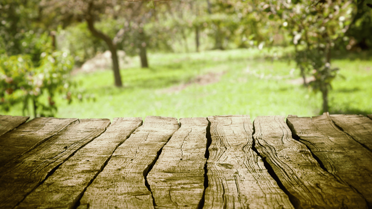 Seasonal Spring Backgrounds for Online Meetings